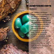 Load image into Gallery viewer, Galet Aventurine - Collectif Spirite
