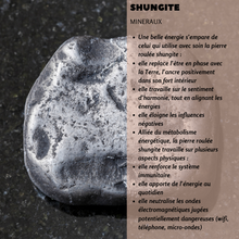 Load image into Gallery viewer, Shungite - Collectif Spirite
