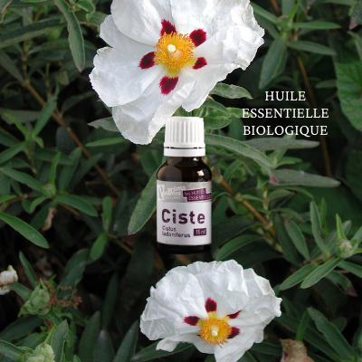 Huile essentielle de Ciste biologique 5ml - Collectif Spirite