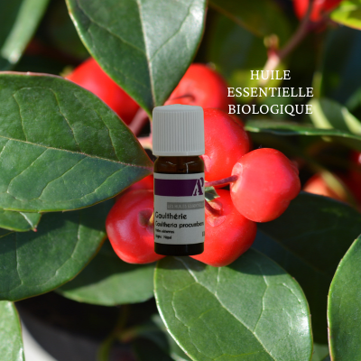 Huile essentielle de Gaultherie biologique 10 ml - Collectif Spirite